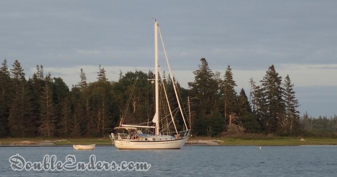 White sailboat against a pine strewn coast